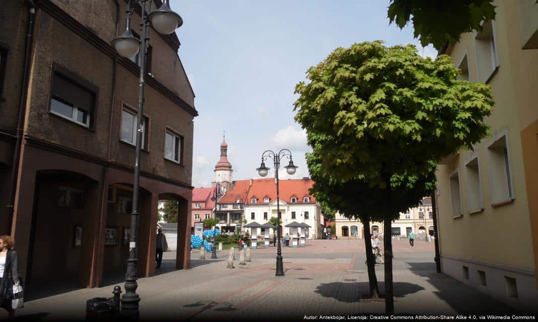 Ostrzeżenie przed gęstą mgłą w Żorach w dniach 7-8 listopada 2024 r.